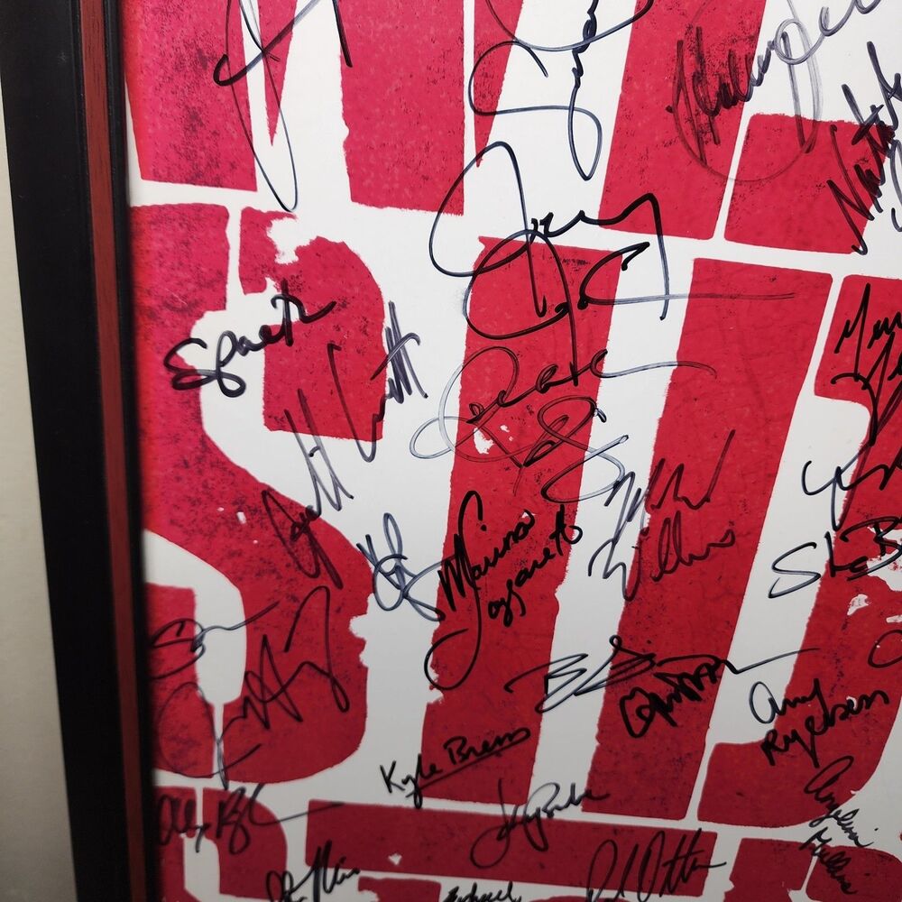 Broadway West Side Story Cast Signed Framed 2009 Olivo Cavenaugh Scaglione - Picture 6 of 13